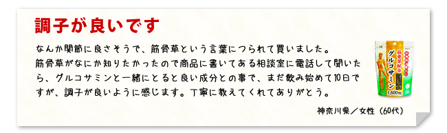 この価格は本当に魅力です