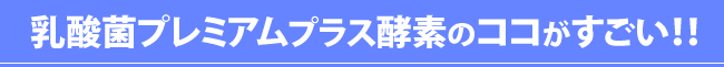 乳酸菌プレミアムプラス酵素のココがすごい！！