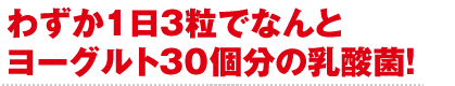 わずか1日3粒でなんとヨーグルトの30億個分の乳酸菌！