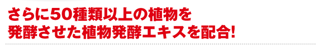 わずか1日3粒でなんとヨーグルトの30億個分の乳酸菌！